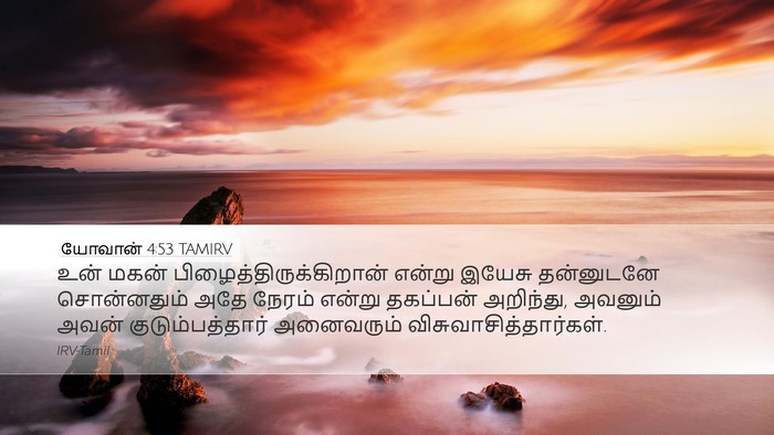 யோவான் 4:53 TAMIRV Bible Verse Image