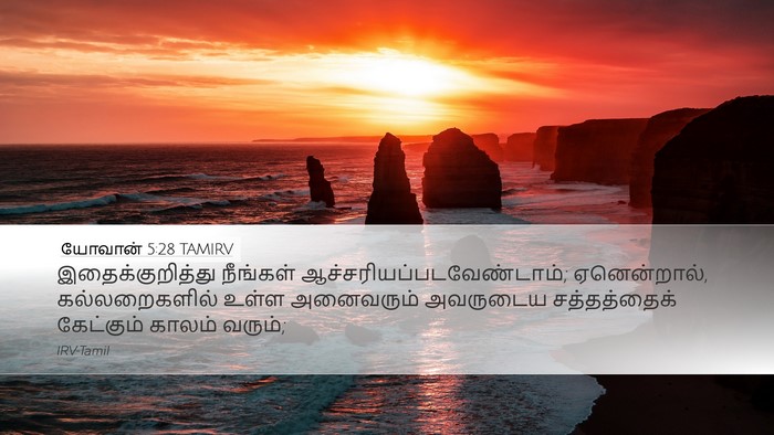 யோவான் 5:28 TAMIRV Bible Verse Image
