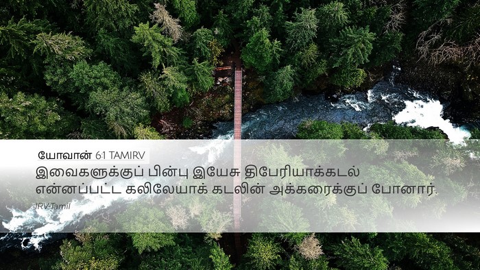 யோவான் 6:1 TAMIRV Bible Verse Image