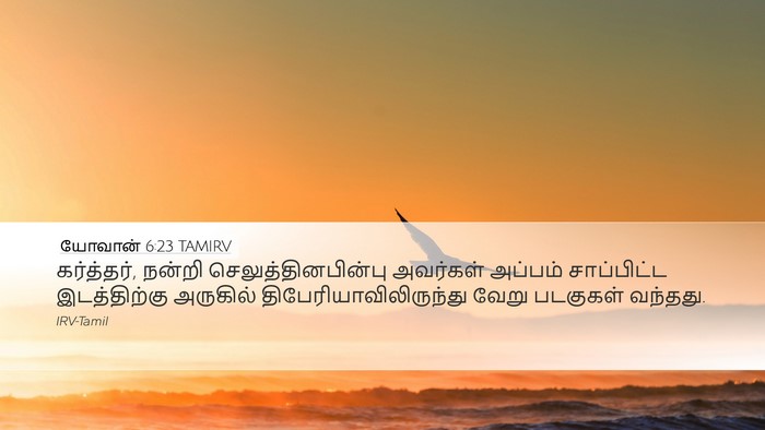 யோவான் 6:23 TAMIRV Bible Verse Image