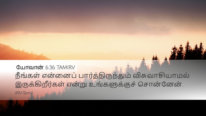 யோவான் 6:36 TAMIRV Bible Verse Image