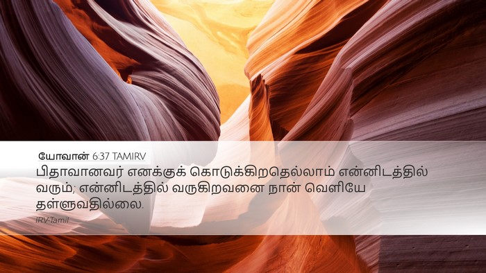 யோவான் 6:37 TAMIRV Bible Verse Image