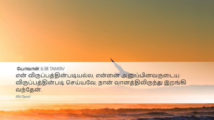 யோவான் 6:38 TAMIRV Bible Verse Image
