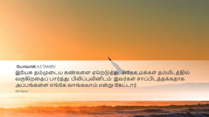 யோவான் 6:5 TAMIRV Bible Verse Image