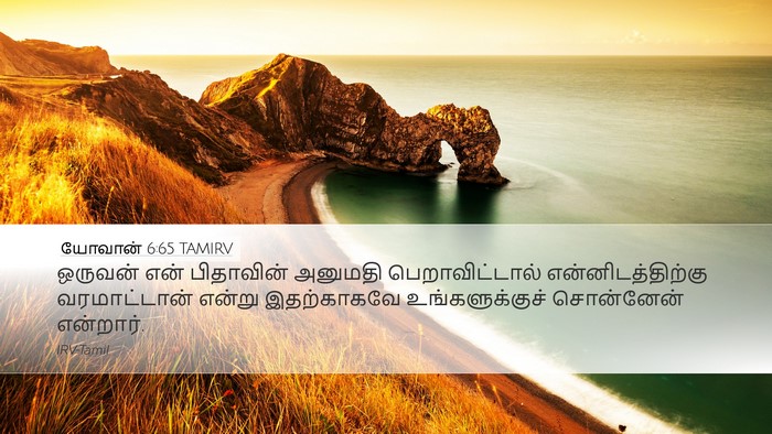 யோவான் 6:65 TAMIRV Bible Verse Image