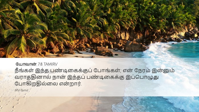 யோவான் 7:8 TAMIRV Bible Verse Image