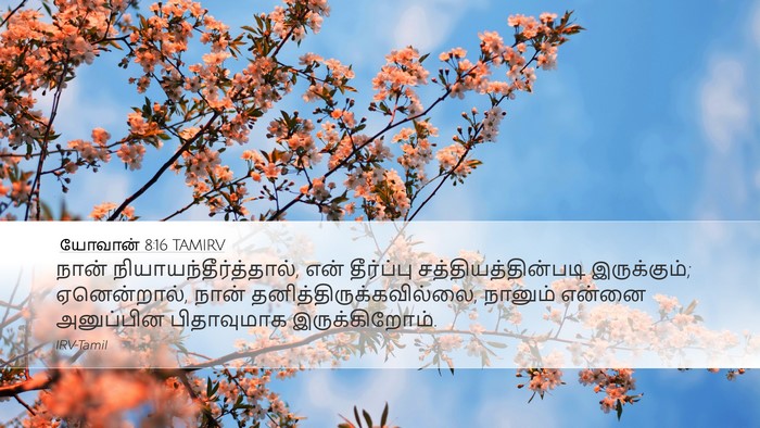யோவான் 8:16 TAMIRV Desktop Wallpaper - நான் - Desktop Bible Verse Wallpaper
