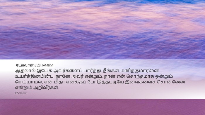 யோவான் 8:28 TAMIRV Bible Verse Image