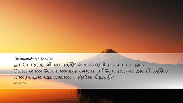 யோவான் 8:3 TAMIRV Bible Verse Image