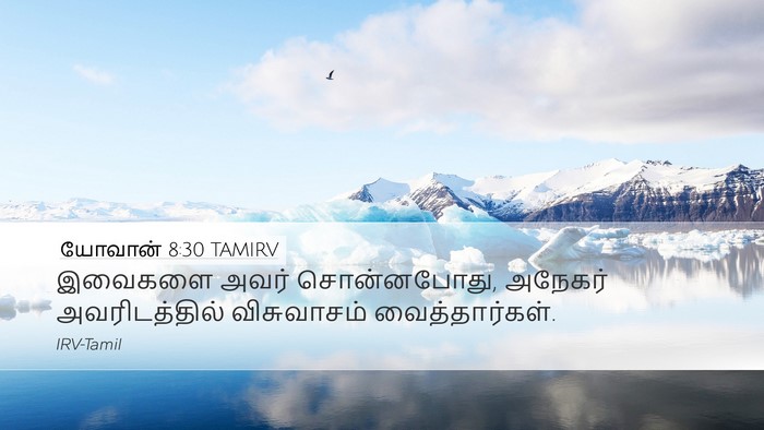 யோவான் 8:30 TAMIRV Bible Verse Image