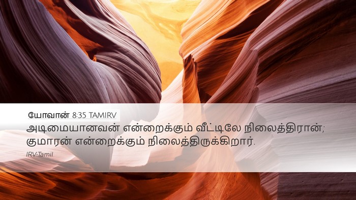 யோவான் 8:35 TAMIRV Bible Verse Image