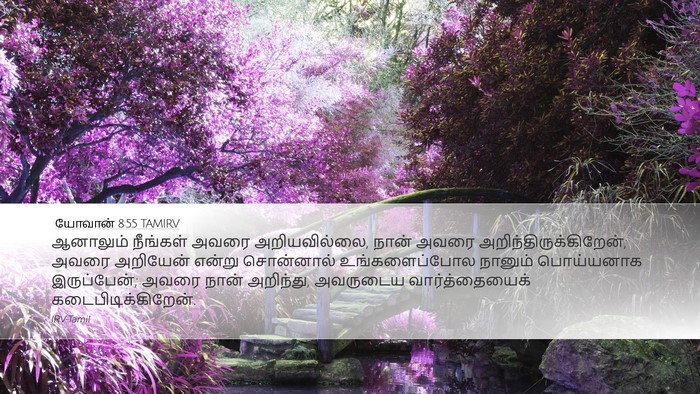யோவான் 8:55 TAMIRV Bible Verse Image