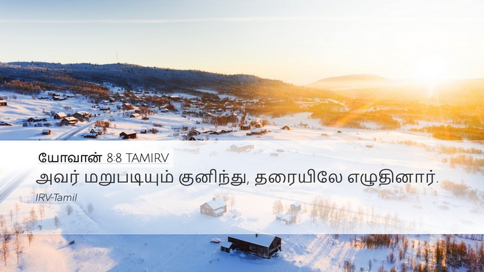 யோவான் 8:8 TAMIRV Bible Verse Image