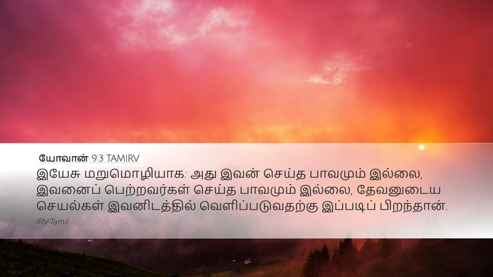 யோவான் 9:3 TAMIRV Bible Verse Image