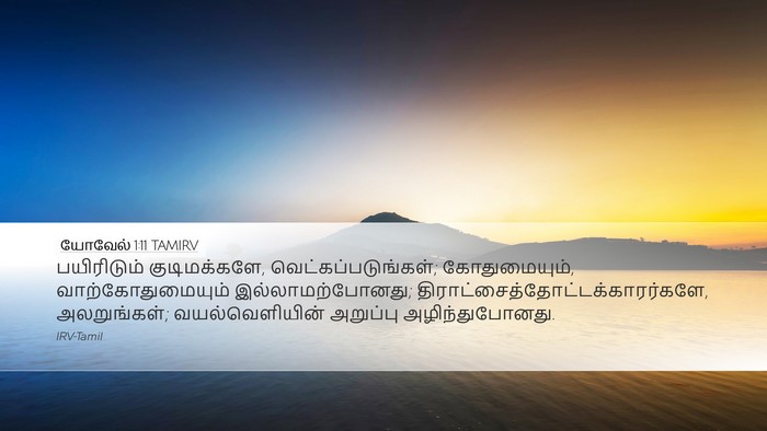 யோவேல் 1:11 TAMIRV Bible Verse Image