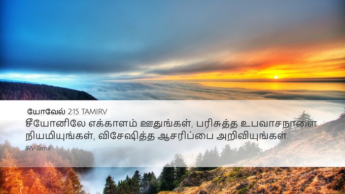 யோவேல் 2:15 TAMIRV Bible Verse Image