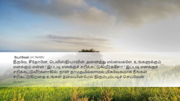 யோவேல் 3:4 TAMIRV Bible Verse Image