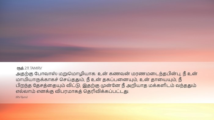 ரூத் 2:11 TAMIRV Desktop Wallpaper - அதற்கு போவாஸ் - Desktop Bible Verse Wallpaper
