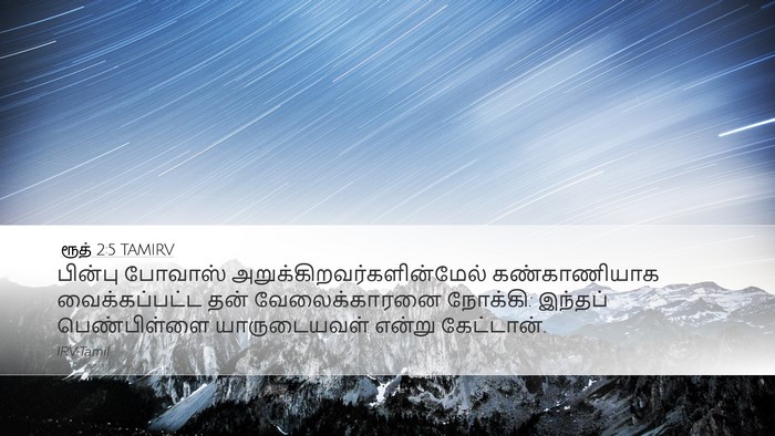 ரூத் 2:5 TAMIRV Desktop Wallpaper - பின்பு போவாஸ் - Desktop Bible Verse Wallpaper
