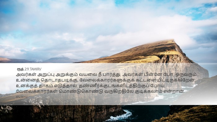 ரூத் 2:9 TAMIRV Desktop Wallpaper - அவர்கள் அறுப்பு - Desktop Bible Verse Wallpaper