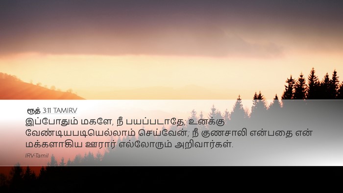 ரூத் 3:11 TAMIRV Bible Verse Image