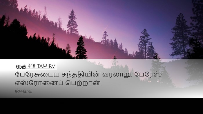 ரூத் 4:18 TAMIRV Bible Verse Image