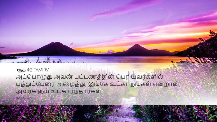 ரூத் 4:2 TAMIRV Desktop Wallpaper - அப்பொழுது அவன் - Desktop Bible Verse Wallpaper