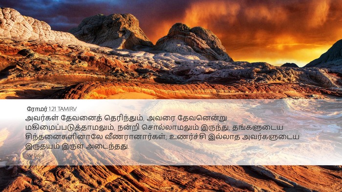 ரோமர் 1:21 TAMIRV Bible Verse Image