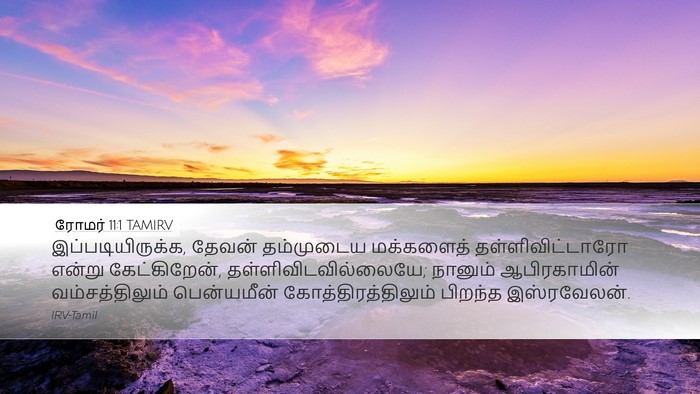 ரோமர் 11:1 TAMIRV Bible Verse Image