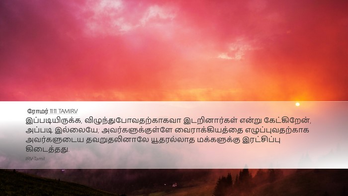 ரோமர் 11:11 TAMIRV Bible Verse Image