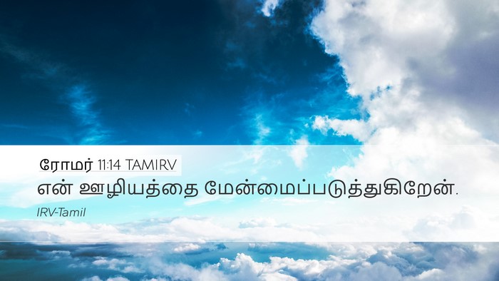 ரோமர் 11:14 TAMIRV Bible Verse Image