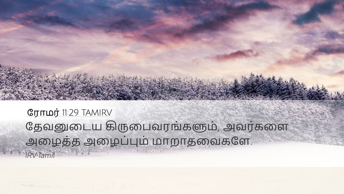 ரோமர் 11:29 TAMIRV Bible Verse Image