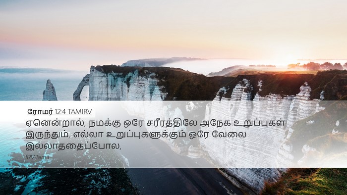 ரோமர் 12:4 TAMIRV Bible Verse Image
