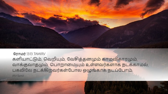 ரோமர் 13:13 TAMIRV Bible Verse Image