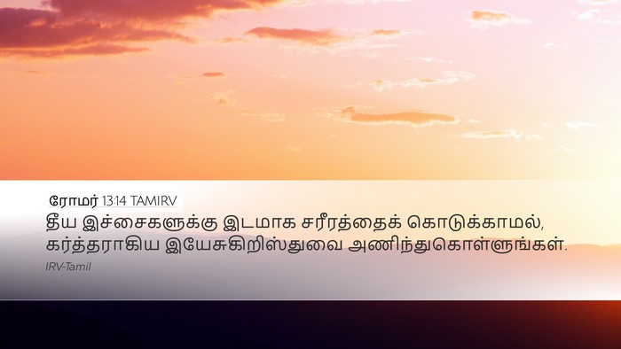 ரோமர் 13:14 TAMIRV Bible Verse Image