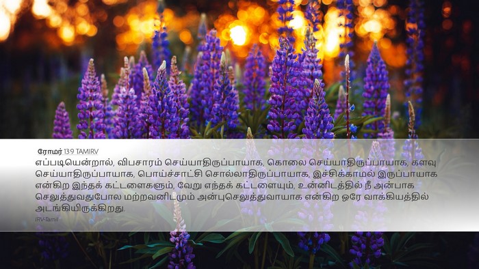 ரோமர் 13:9 TAMIRV Bible Verse Image
