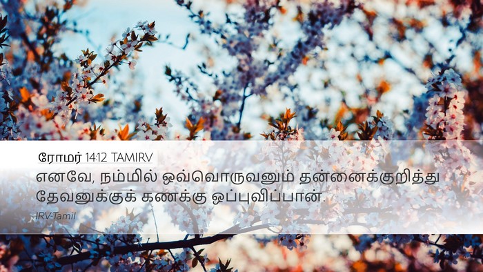 ரோமர் 14:12 TAMIRV Bible Verse Image