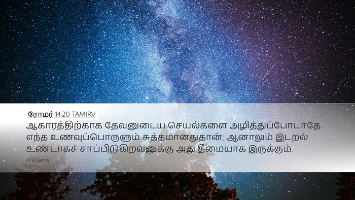ரோமர் 14:20 TAMIRV Bible Verse Image