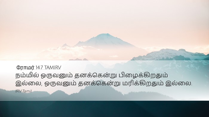 ரோமர் 14:7 TAMIRV Bible Verse Image