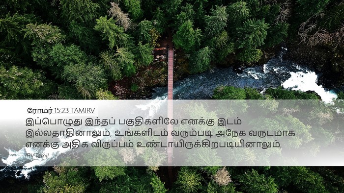 ரோமர் 15:23 TAMIRV Bible Verse Image
