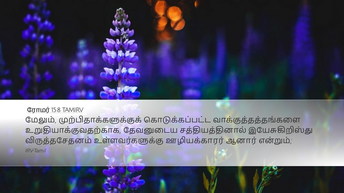 ரோமர் 15:8 TAMIRV Bible Verse Image