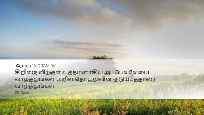 ரோமர் 16:10 TAMIRV Desktop Wallpaper - கிறிஸ்துவிற்குள் - Desktop Bible Verse Wallpaper