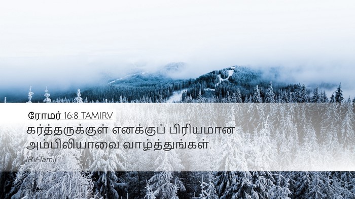 ரோமர் 16:8 TAMIRV Desktop Wallpaper - கர்த்தருக்குள் - Desktop Bible Verse Wallpaper