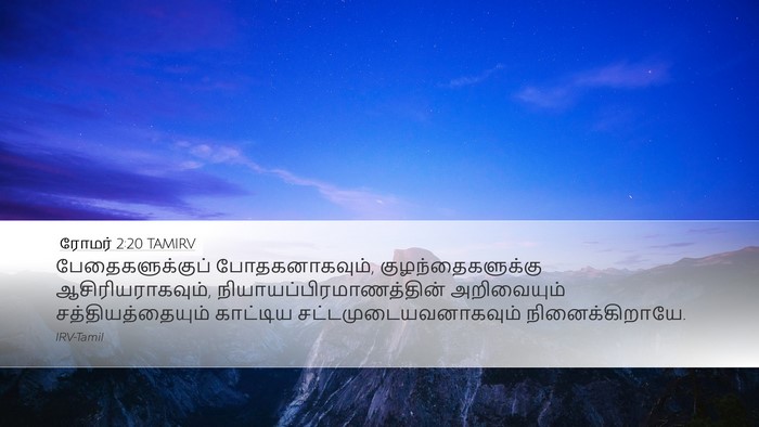 ரோமர் 2:20 TAMIRV Bible Verse Image