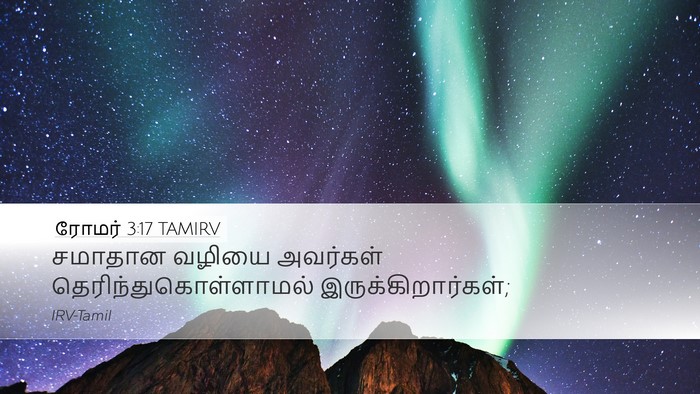 ரோமர் 3:17 TAMIRV Bible Verse Image