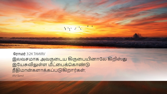 ரோமர் 3:24 TAMIRV Bible Verse Image
