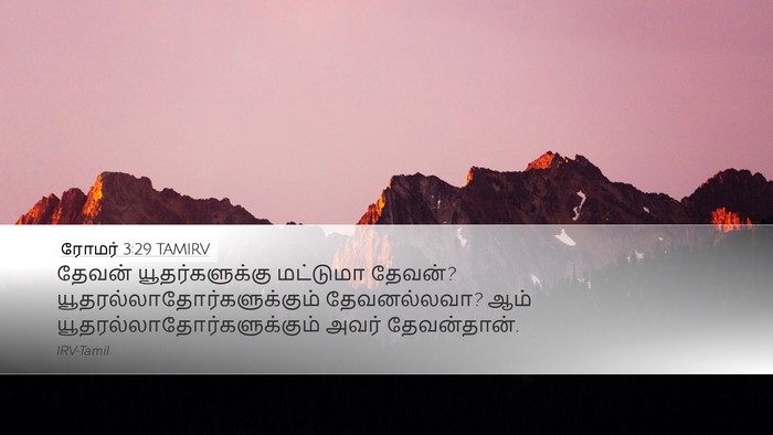ரோமர் 3:29 TAMIRV Bible Verse Image