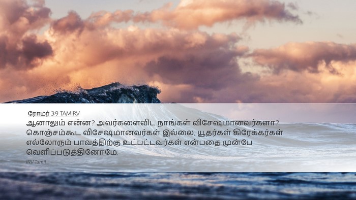 ரோமர் 3:9 TAMIRV Bible Verse Image