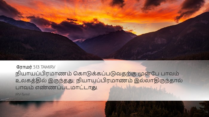 ரோமர் 5:13 TAMIRV Bible Verse Image