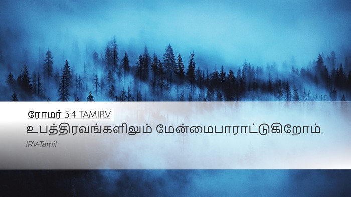 ரோமர் 5:4 TAMIRV Desktop Wallpaper -  - Desktop Bible Verse Wallpaper